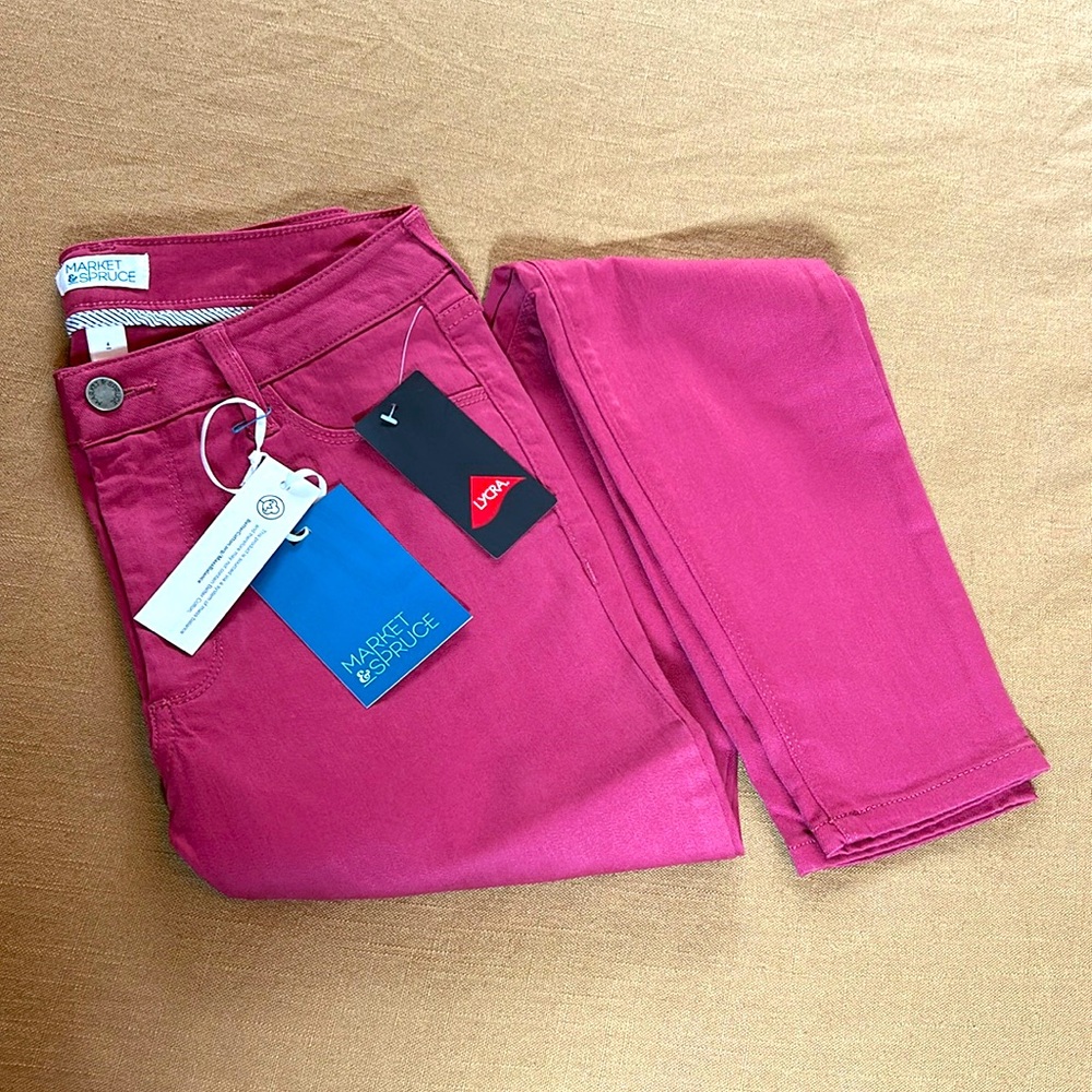NWT Market & Spruce Earth Red Skinny Jeans